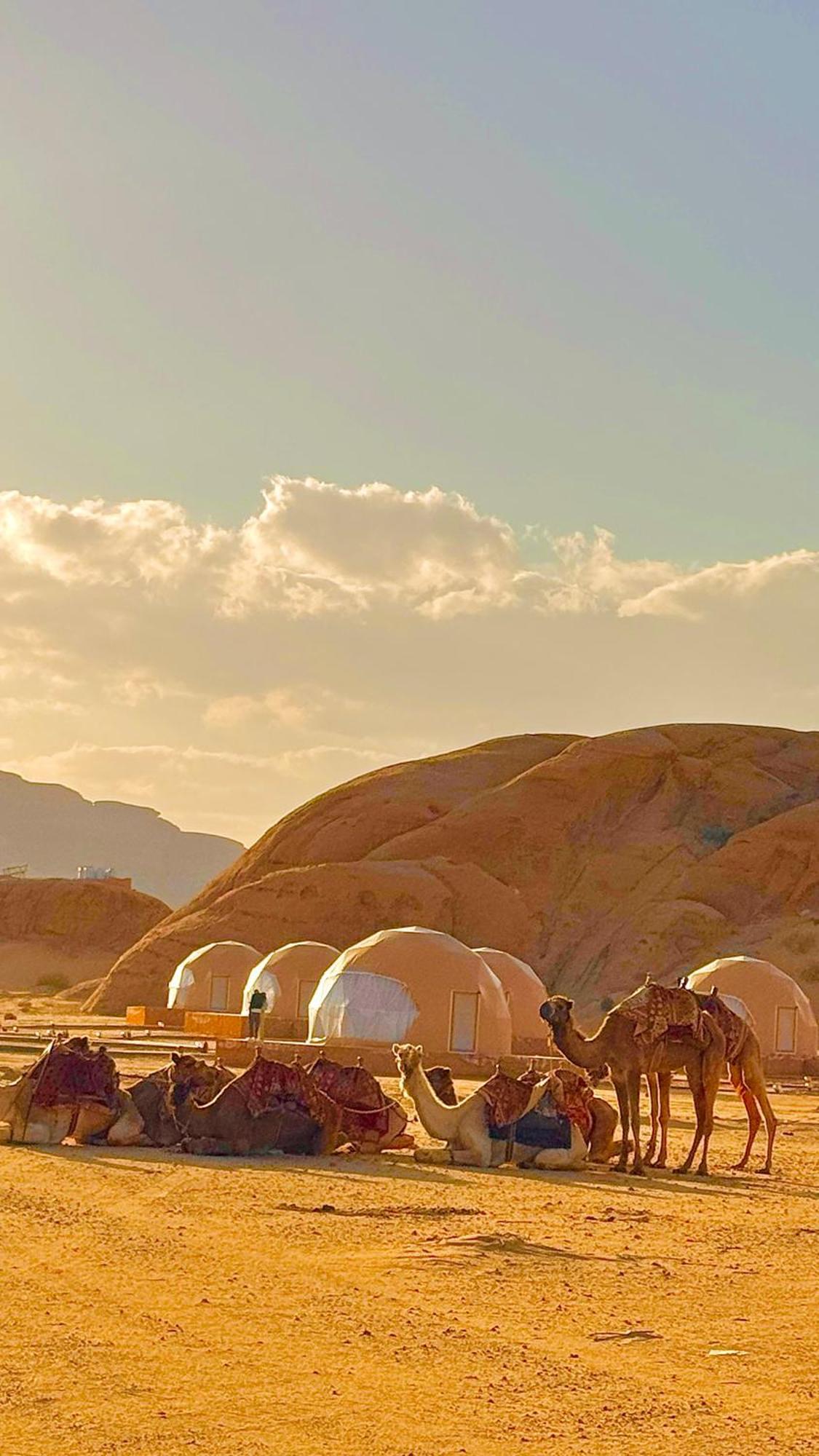 Wadi Rum Anwar Luxury Camp Exterior photo