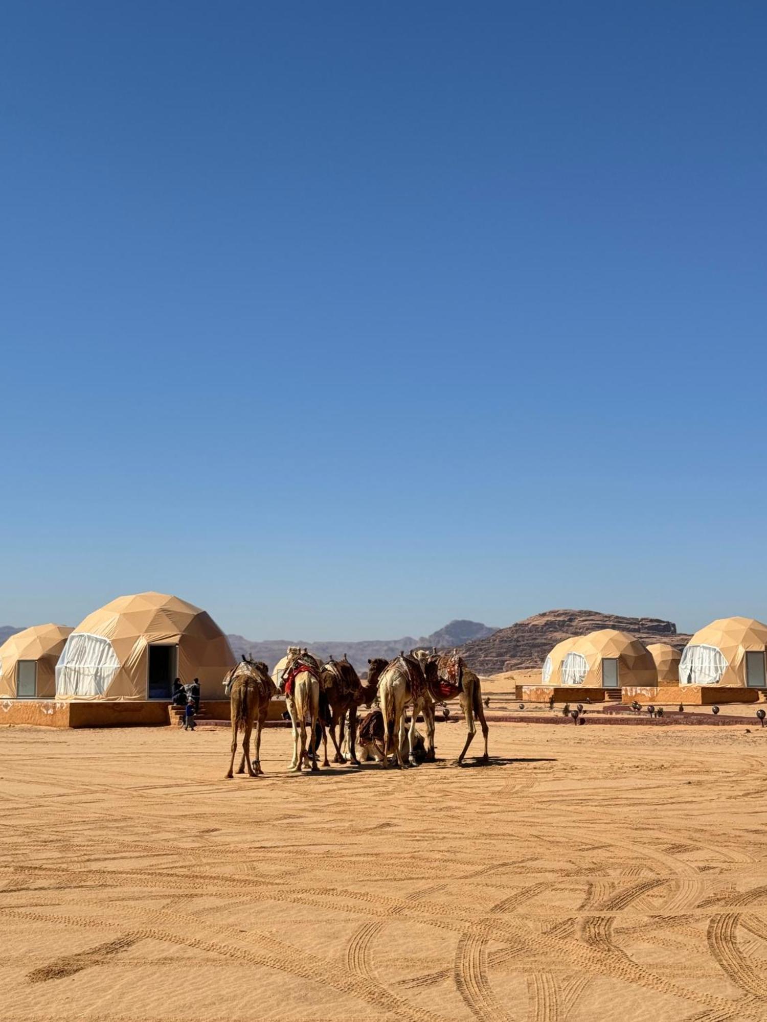 Wadi Rum Anwar Luxury Camp Exterior photo